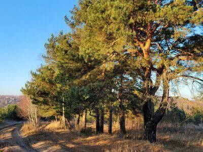 Крюково Крюково