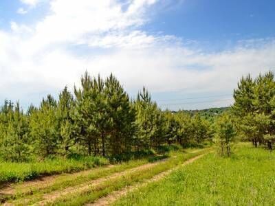 Крюково Крюково