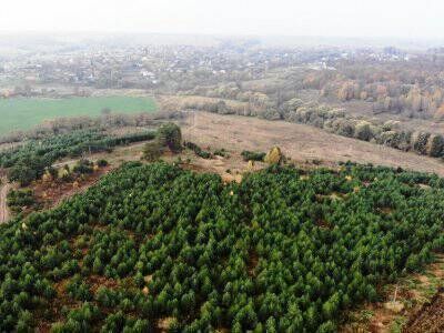 Крюково Крюково