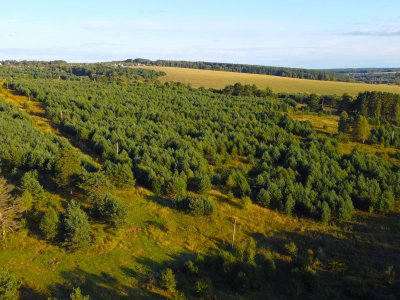 Крюково Крюково