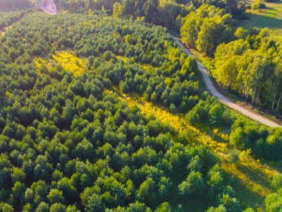 Крюково Крюково