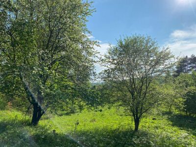 Крюково Крюково