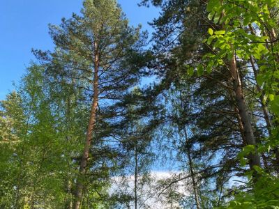 Крюково Крюково