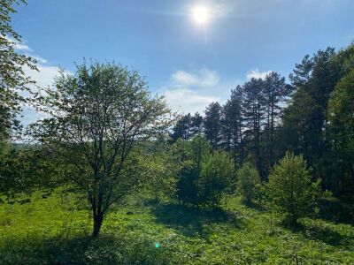 Крюково Крюково