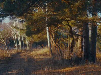 Крюково Крюково