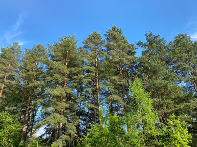 Крюково Крюково