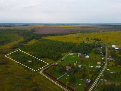 Незабудкино Незабудкино