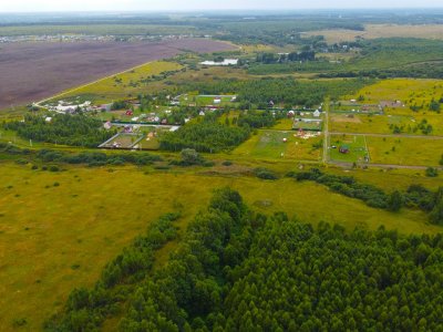 Незабудкино Незабудкино