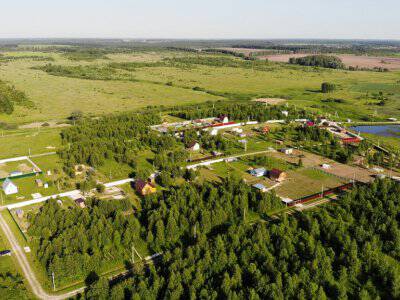 Незабудкино Незабудкино