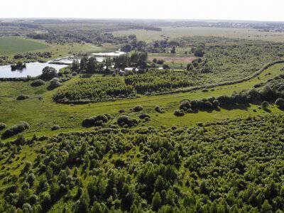 Незабудкино Незабудкино