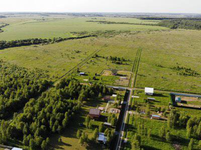 Незабудкино Незабудкино