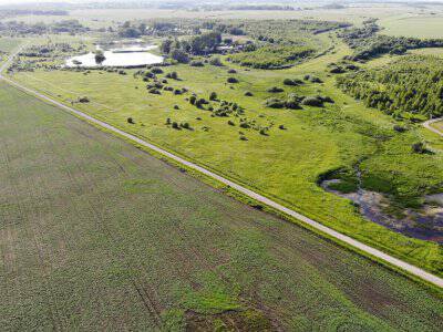 Незабудкино Незабудкино