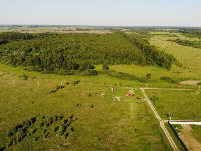 Незабудкино Незабудкино