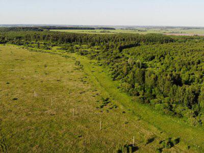 Незабудкино Незабудкино