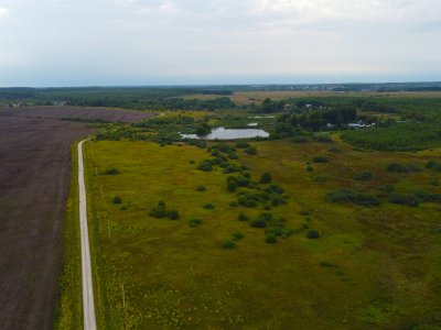 Незабудкино Незабудкино