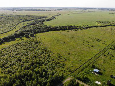 Незабудкино Незабудкино