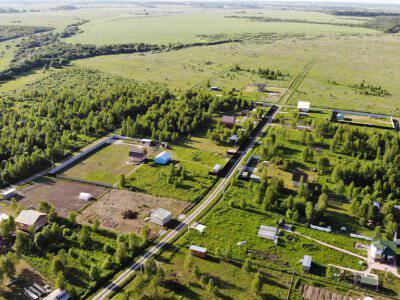 Незабудкино Незабудкино