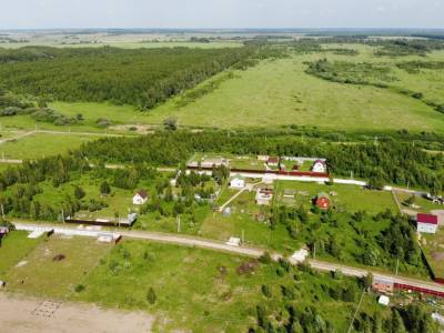 Незабудкино Незабудкино