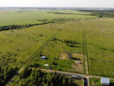 Незабудкино Незабудкино