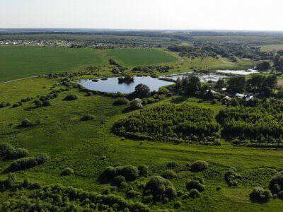 Незабудкино Незабудкино