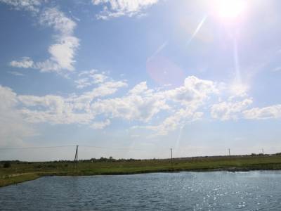 Незабудкино Незабудкино