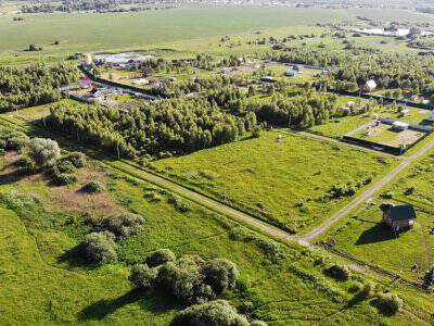 Незабудкино Незабудкино