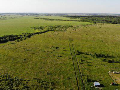 Незабудкино Незабудкино