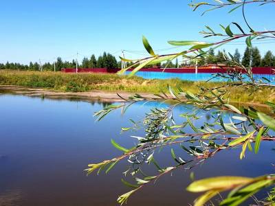 Незабудкино Незабудкино