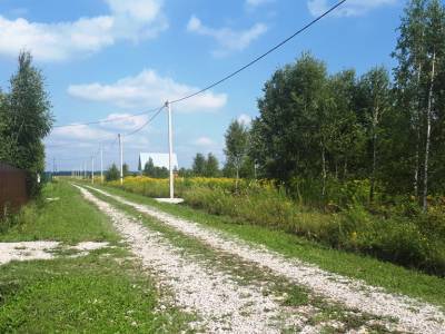 Незабудкино Незабудкино