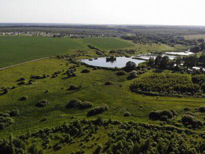 Незабудкино Незабудкино