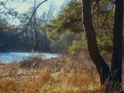 Лесновка
