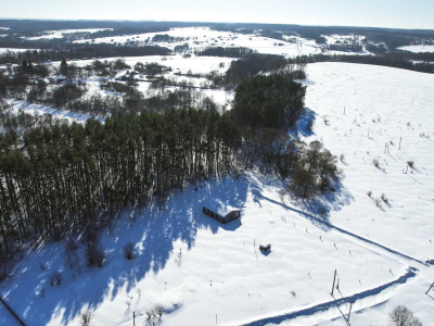 Лесновка