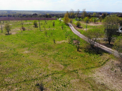 Лесновка