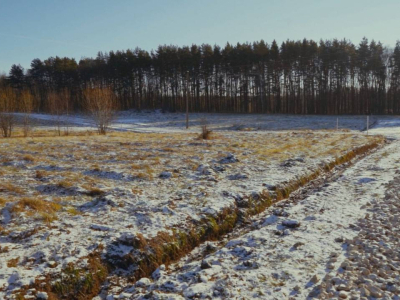 Лесновка