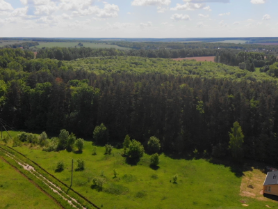 Лесновка