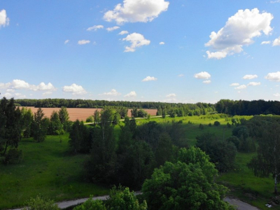 Лесновка