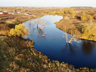 Васильково VIP Васильково VIP