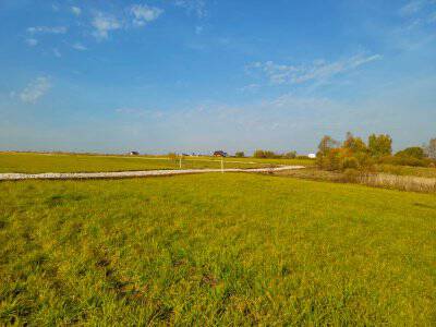 Васильково VIP Васильково VIP