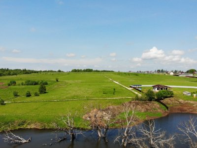 Васильково VIP Васильково VIP