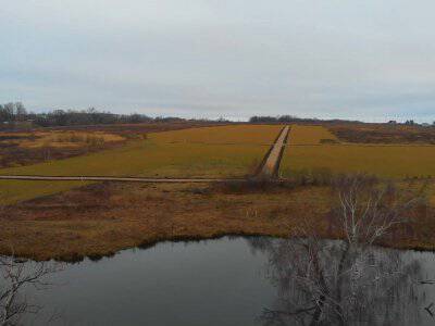 Васильково VIP Васильково VIP