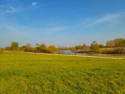 Васильково VIP Васильково VIP