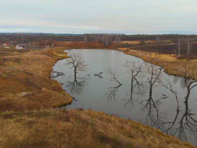 Васильково VIP Васильково VIP