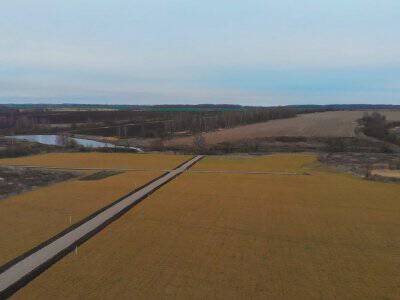 Васильково VIP Васильково VIP