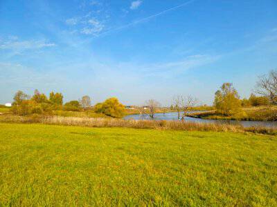 Васильково VIP Васильково VIP