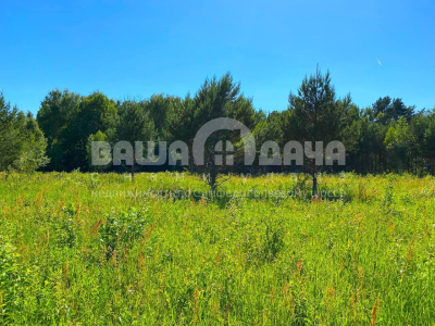 Пашково Эко Пашково Эко