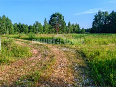 Пашково Эко Пашково Эко