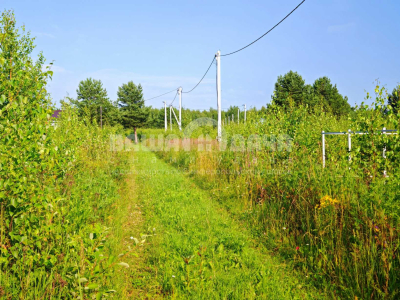 Пашково Эко Пашково Эко