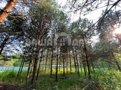 Пашково Эко Пашково Эко