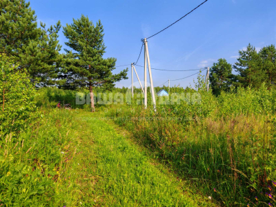 Пашково Эко Пашково Эко