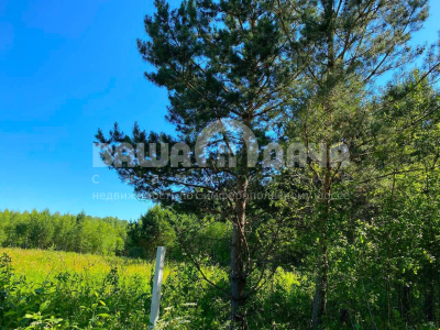 Пашково Эко Пашково Эко